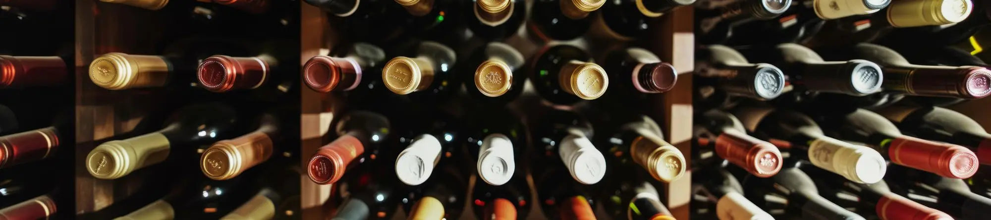 Wein verstehen: Die wichtigsten Weinsorten einfach erklärt